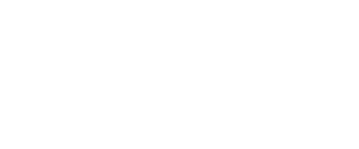 MX logo
