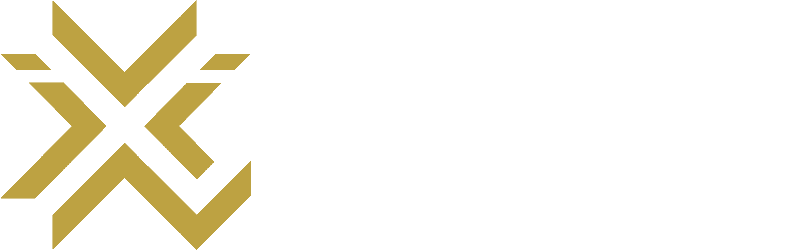 VINX logo